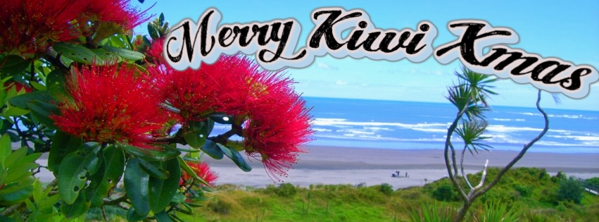 Christmas Newsletter