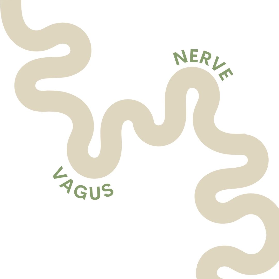 Power Up Your Parasympathetics: A Chiropractic Approach To Calming Your Nervous System